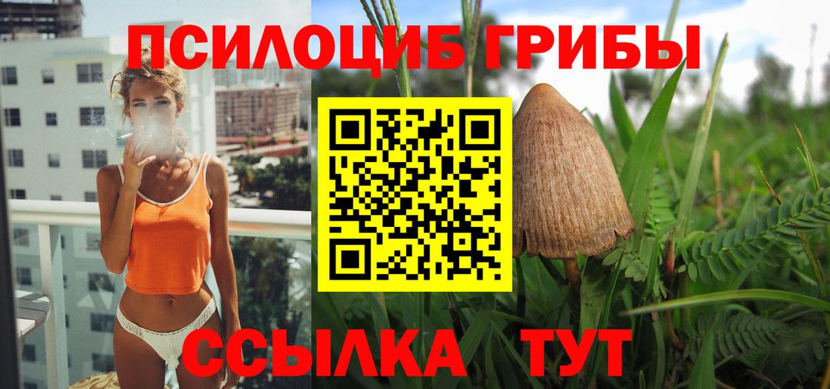 Галлюциногенные грибы MAGIC MUSHROOMS Анжеро-Судженск