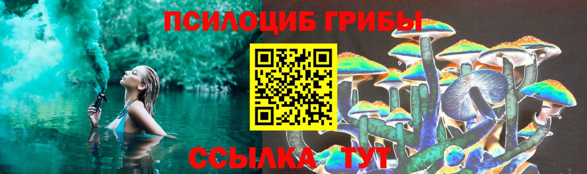 Анжеро-Судженск  Псилоцибиновые грибы Psilocybine cubensis  Галлюциногенные грибы Magic Shrooms  Вход с VPN 