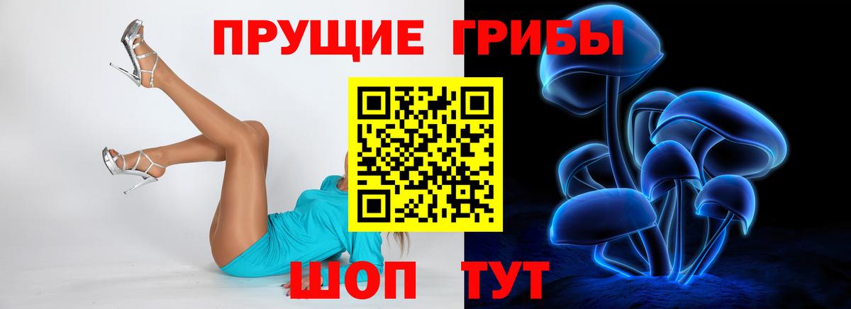 Анжеро-Судженск  Галлюциногенные грибы ЛСД  Вход с VPN 