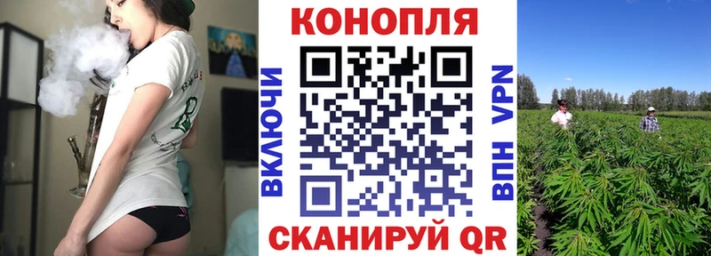 МАРИХУАНА сатива  ссылка на мегу tor  Анжеро-Судженск 