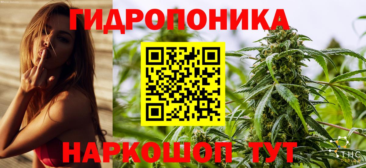 МАРИХУАНА конопля  Анжеро-Судженск  Конопля White Widow  Бошки Шишки гибрид 